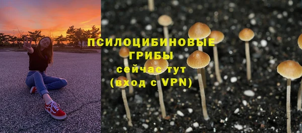 твердый Аркадак