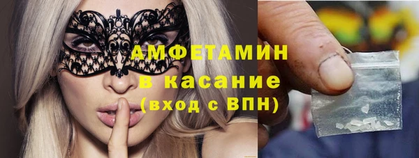твердый Аркадак