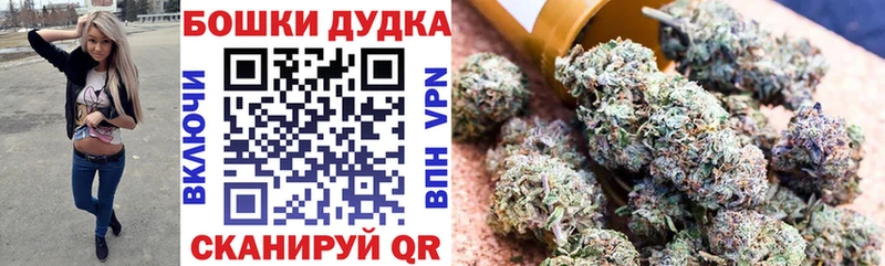 МАРИХУАНА планчик  Бавлы 